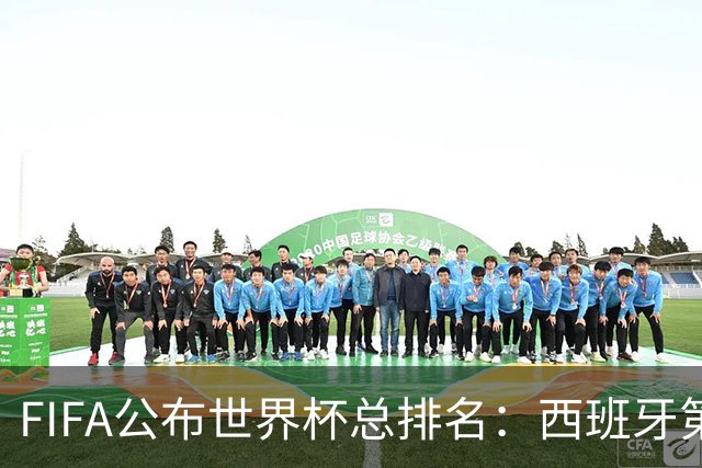 FIFA公布世界杯总排名：西班牙第1，巴西第11，荷兰、德国第17、18